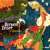 Birsen Tezer - Cihan artwork