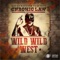 Wild Wild West artwork