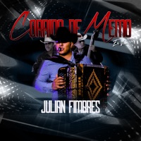 Corrido de Memo (En Vivo) - Single - Julian Fimbres