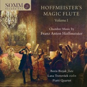 Flute Quartet in C Minor, H. 5929 No. 4: III. Allegro non molto (Live) artwork