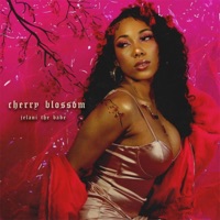 Cherry Blossom - Single - Jelani the Babe
