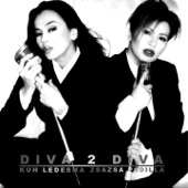 Diva 2 Diva artwork