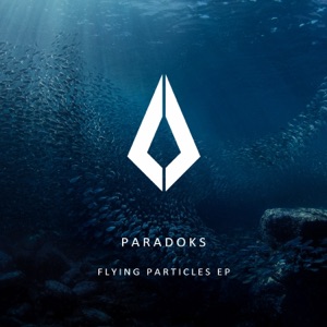 Flying Particles (Extended Mix)