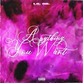 Anything You Want artwork