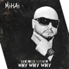 Why Why Why (Extended Version) - Single