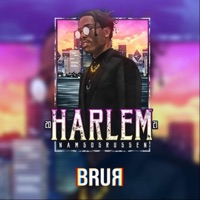 Harlem 2021 - Single - Brur