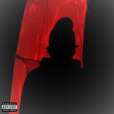 Medicine (feat. Lil Geeb) - Single