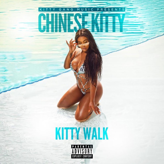 Cover artwork for Kitty Walk