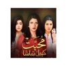 Sahir Ali Bagga - Muhabbat Khel Tamasha