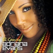 Adriana Evans - Undercover