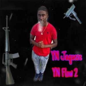YN Flow 2