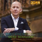Bruckner: Symphony No. 9 in D Minor (Arr. G. Schaller for Organ) artwork