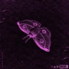 Moth Soup (feat. Theo & Saint Sleep) - Single