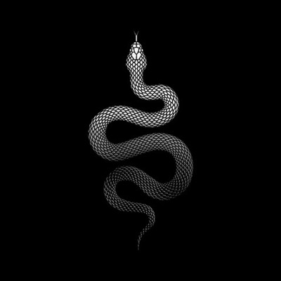 Serpiente - Single