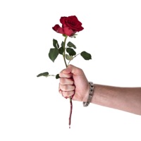 Verblute (feat. Colm) - Single - SLAY