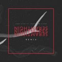 Nightmares (feat. Shaggy no Scoob) [Remix] - Single - Yung Vital