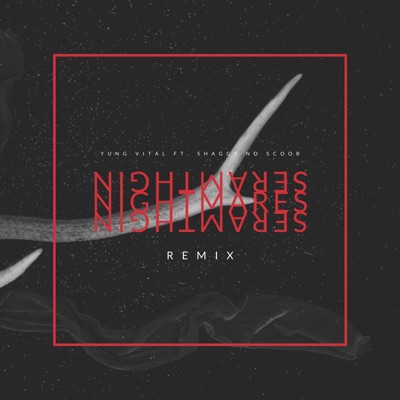 Nightmares (feat. Shaggy no Scoob) [Remix] - Single