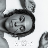 Seeds (Acoustic) artwork