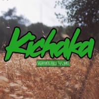 Kichaka (feat. Belle 9 & G Nako) - Single - Saida Karoli
