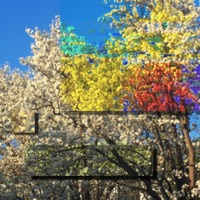 Placebo Effect (feat. goodbyex2002) - Single - Jedwill