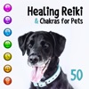 Healing Reiki & Chakras for Pets: 50 Sounds Therapy for Animals, Finding Inner Peace of Your Pets, Soothing Nature Sounds for Calm Down & Relax, Stress & Anxiety Reduction