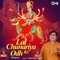 Jis Rang Mein Yeh Rakhe Bhavani - Vipin Sachdeva lyrics