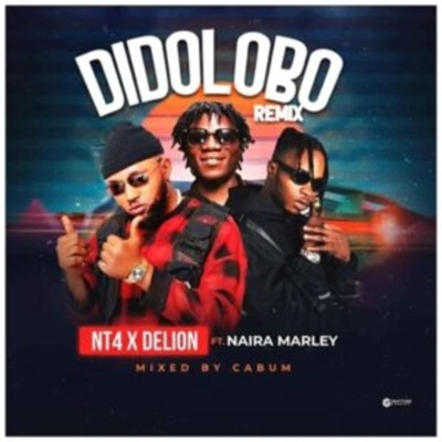 Didolobo (feat. NT4 & Naira Marley) - Single