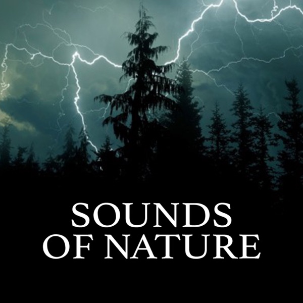 Sounds of Nature
