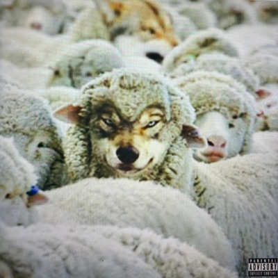 Wolves in Sheep's Clothing