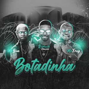 Botadinha (feat. Mr Bim & Mc Frog) [Remix]