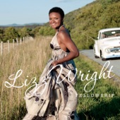 Lizz Wright - (I’ve Got to Use My) Imagination