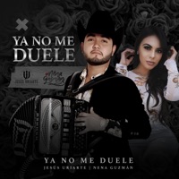 Ya no me Duele (En vivo) - Single - Nena Guzman