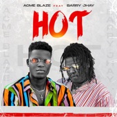 Hot (feat. Barry Jhay) artwork