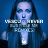 Surprise Me (feat. Riiver) [Remixes] - Single