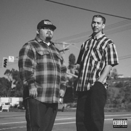 Associated (feat. Throwback Zack) GD Funkster & Vade One