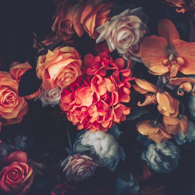 Bloom (Instrumental) - Single