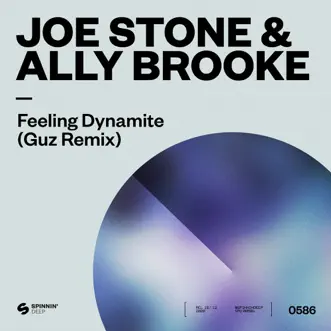 Feeling Dynamite (Guz Remix) by Joe Stone & Ally Brooke song reviws