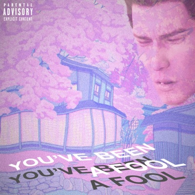 You've Been a Fool - Single