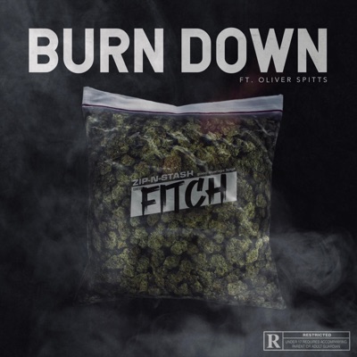 Burn Down (feat. Oliver Spitts) - Single