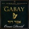 Birchos Avicha - Dovid Gabay lyrics