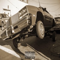 3 Wheel Motion - Single - Funymuney