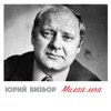 Визбор, Юрий - Милая моя