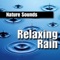 Meditation On Rain - Nature Sounds lyrics
