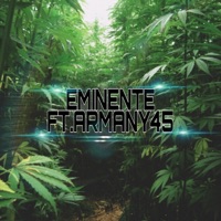 Ella es diferente (feat. armany45) - Single - Valle cartel