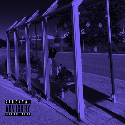 Didn't I Tell You Not to Love Me So Hard? (feat. Rousseau) - Single