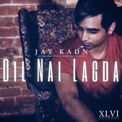 DIL NAI LAGDA cover art