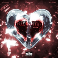 Fake Love (feat. LNF) - Single - LnfDada
