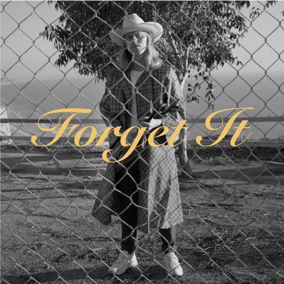 Cover artwork for Forget It