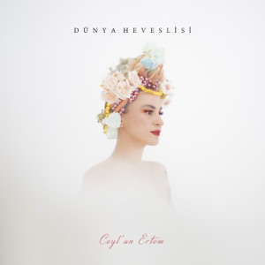 Dünya Heveslisi - Single