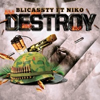 Destroy - Single - Blicassty & Niko